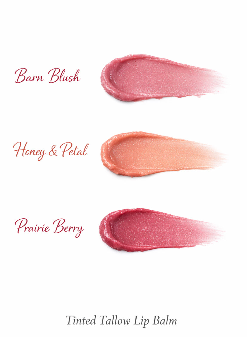 Tinted tallow lip balm